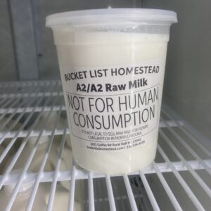 Yogurt