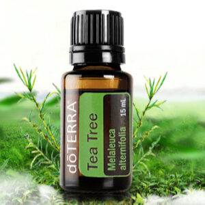 Tea Tree Oil