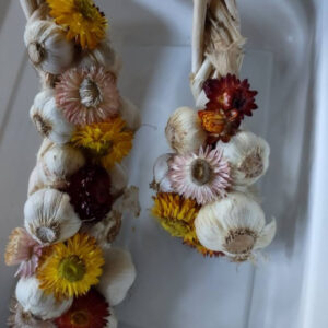 Garlic Braids